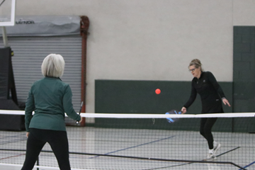 Adult Pickleball 101