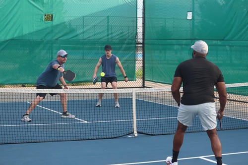 Adult Pickleball League